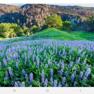 Meet your Posher, Gladys